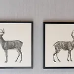 Apartamento Heerlijk Hoenderloo